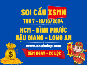 Soi Cầu XSMN 19/10/2024 | Soi Cầu Dự Đoán XSMN Thứ 7