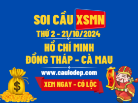 Soi Cầu XSMN 21/10/2024