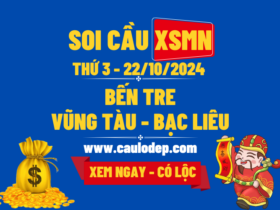 Soi Cầu XSMN 22/10/2024 | Soi Cầu Dự Đoá