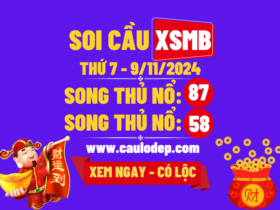 Soi cầu XSMN 9/11/2204