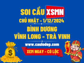 Soi Cầu XSMN 1/12/2024 | Dự Đoán XSMN Chủ Nhật - Kịch trần!