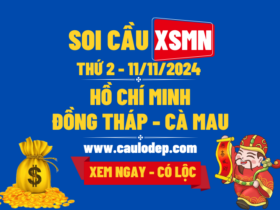 Soi Cầu XSMN 11/11/2024 | Dự Đoán XSMN Thứ 2 - Kịch trần!