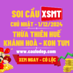 Soi Cầu XSMT 1/12/2024 | Dự Đoán XSMT CN - Bay phấp phới!