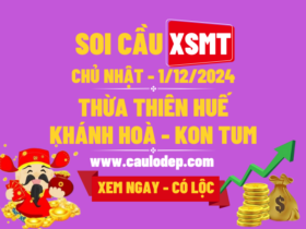 Soi Cầu XSMT 1/12/2024 | Dự Đoán XSMT CN - Bay phấp phới!