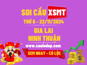 Soi Cầu XSMT 22/11/2024 | Soi Cầu Dự Đoán XSMT Thứ 6