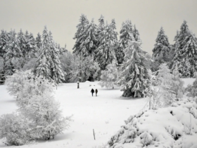 nằm mơ thấy tuyết