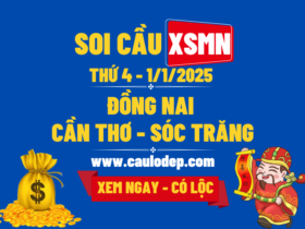 Soi Cầu XSMN 1/1/2025 | Soi Cầu Dự Đoán XSMN Thứ 4