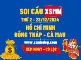 Soi Cầu XSMN 23/12/2024 | Dự Đoán XSMN Thứ 2 - Kịch trần!