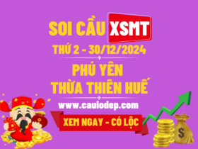 Soi Cầu XSMT 30/12/2024 | Dự Đoán XSMT Thứ 2 - Bay phấp phới!