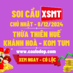 Soi Cầu XSMT 8/12/2024 | Dự Đoán XSMT CN - Bay phấp phới!