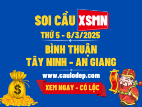 Soi Cầu XSMN 6/3/2025 | Soi Cầu Dự Đoán XSMN Thứ 5