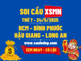 Soi Cầu XSMN 24/5/2025 | Soi Cầu Dự Đoán XSMN Thứ 7