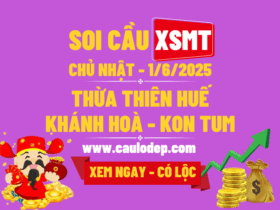 Soi Cầu XSMT 1/6/2025 | Dự Đoán XSMT CN - Bay phấp phới!