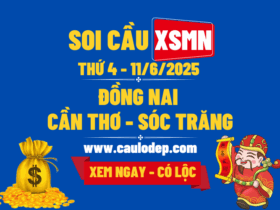 Soi Cầu XSMN 11/6/2025 | Soi Cầu Dự Đoán XSMN Thứ 4
