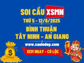 Soi Cầu XSMN 12/6/2025 | Soi Cầu Dự Đoán XSMN Thứ 5