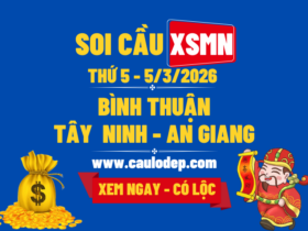 Soi Cầu XSMN 5/3/2026 | Soi Cầu Dự Đoán XSMN Thứ 5